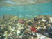 0552
