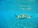 0622